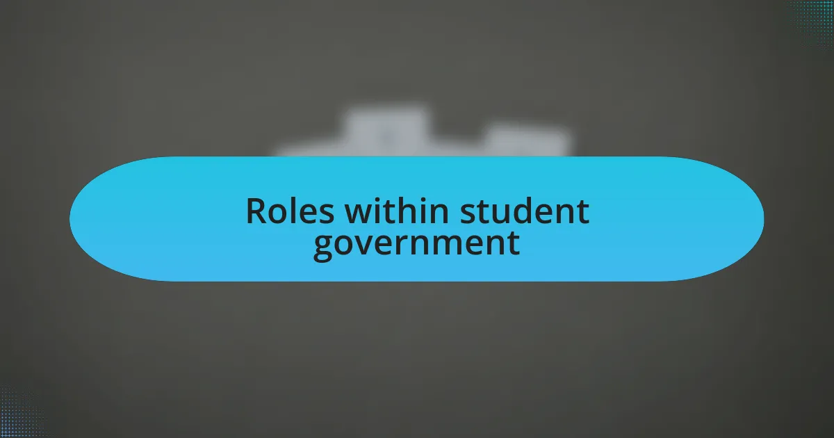 Roles within student government